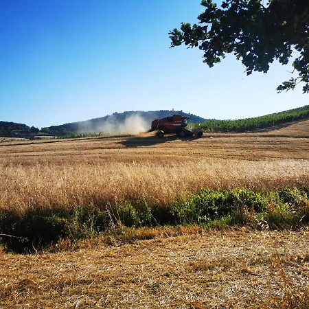 Agriturismo Colle Di Mezzo *